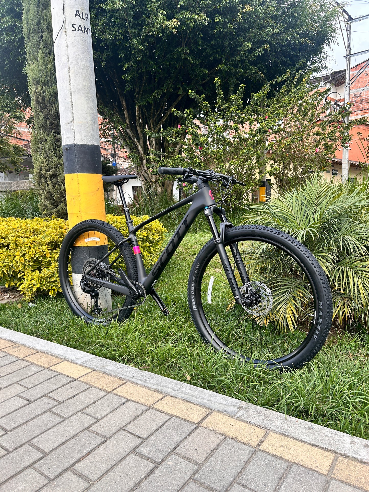 BICICLETA SCOTT SCALE 910 2026 CARBONO