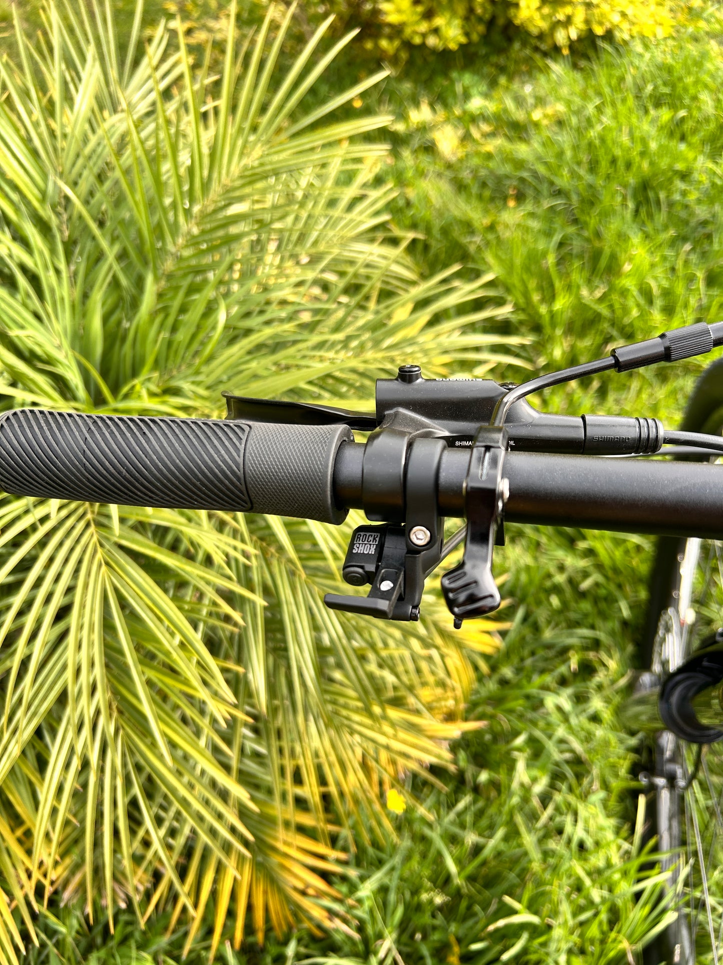 BICICLETA SCOTT SCALE 935 2026 CARBONO
