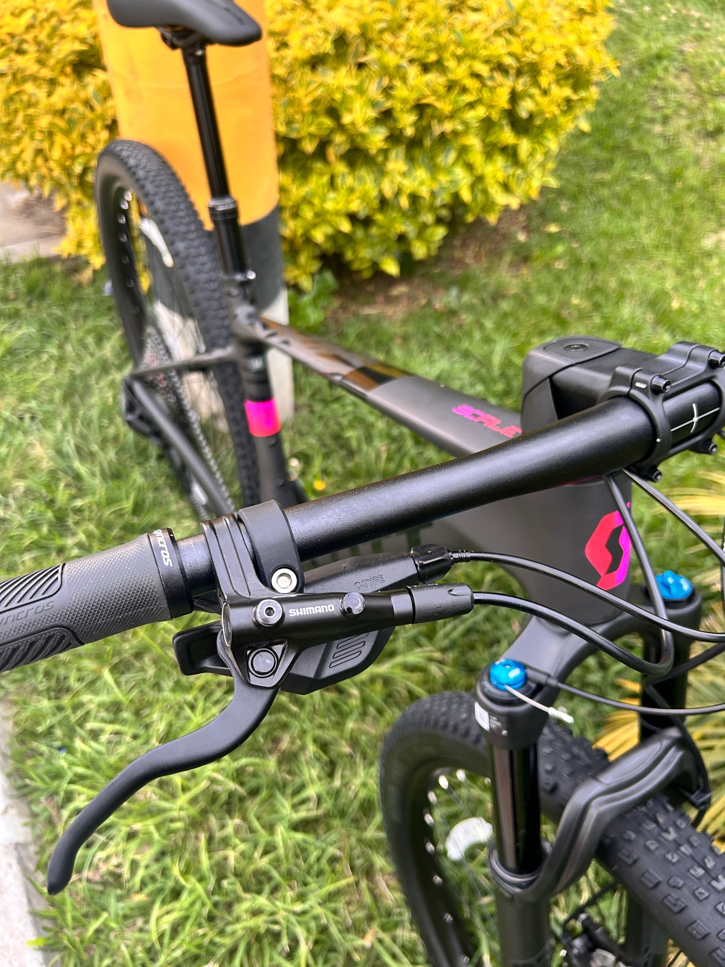 BICICLETA SCOTT SCALE 910 2026 CARBONO