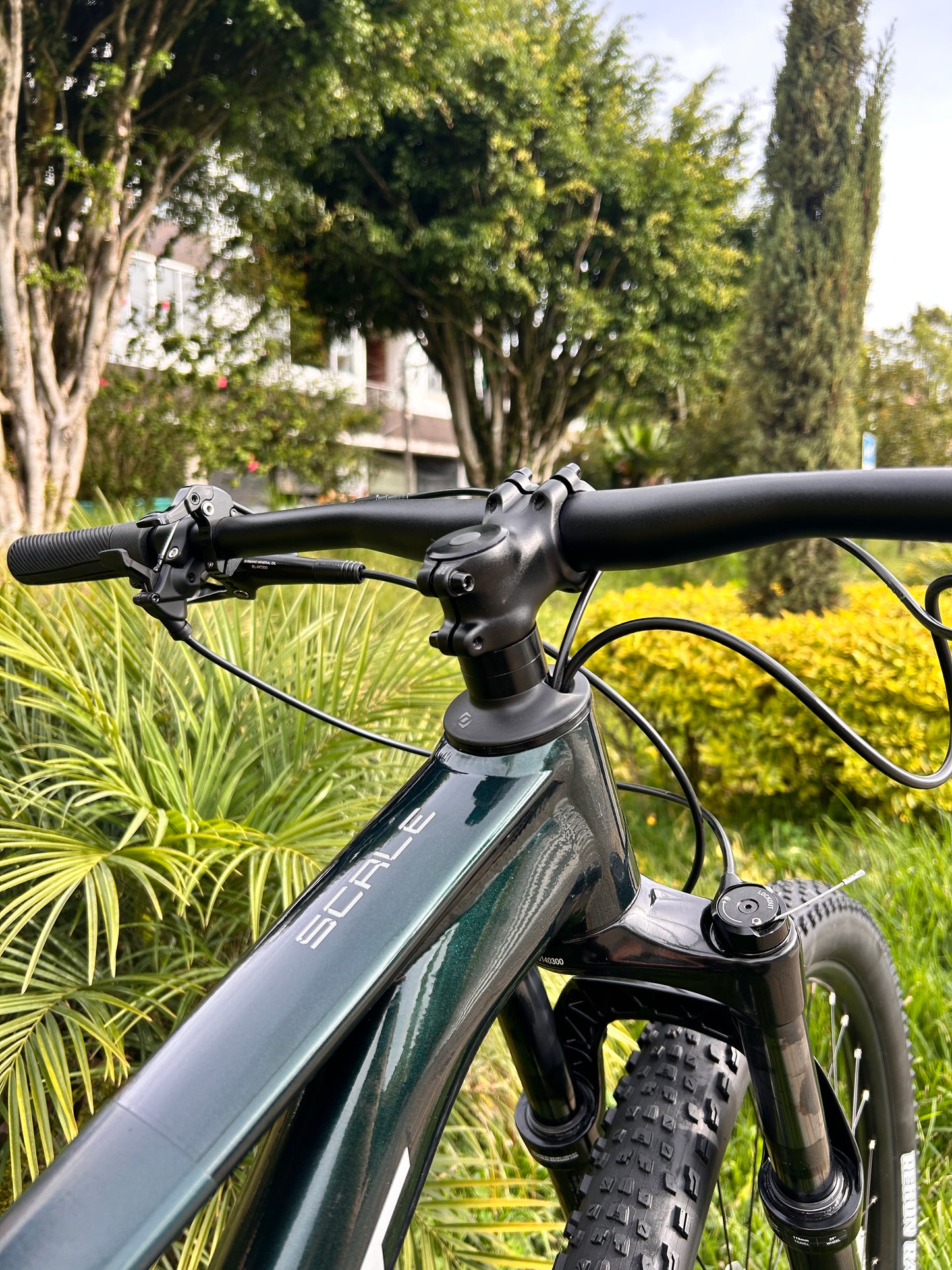 BICICLETA SCOTT SCALE 935 2026 CARBONO