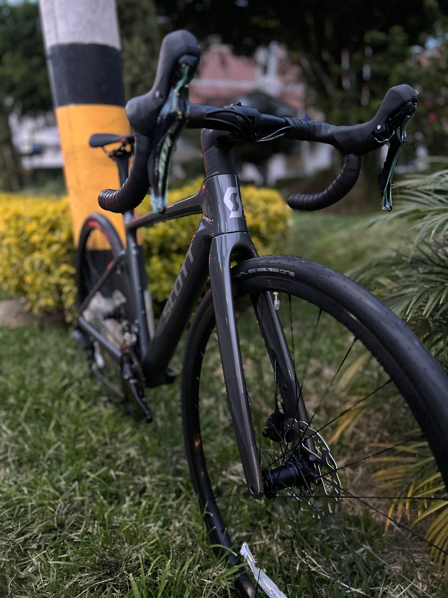 BICICLETA SCOTT ADDICT 50 2025