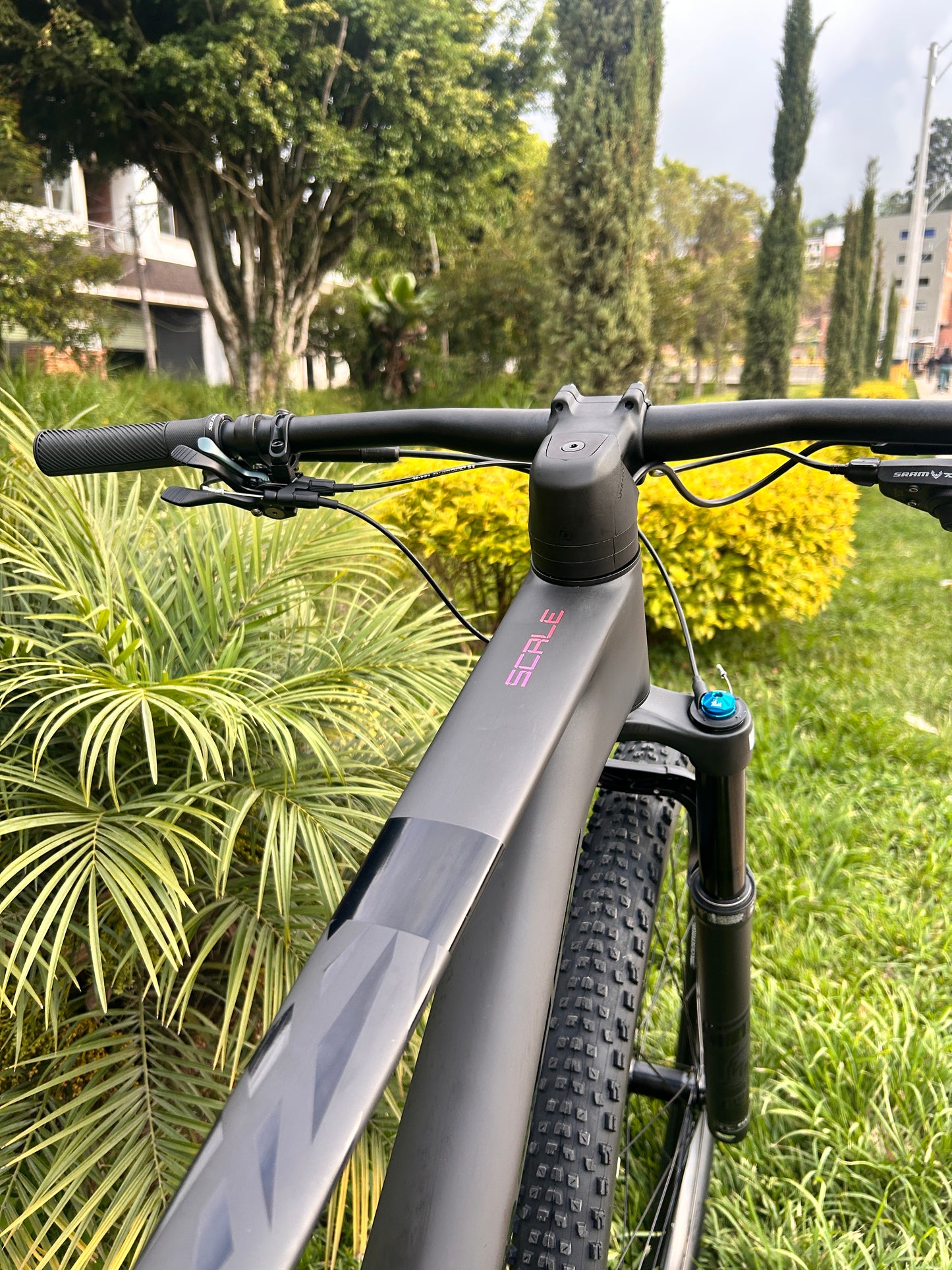 BICICLETA SCOTT SCALE 910 2026 CARBONO