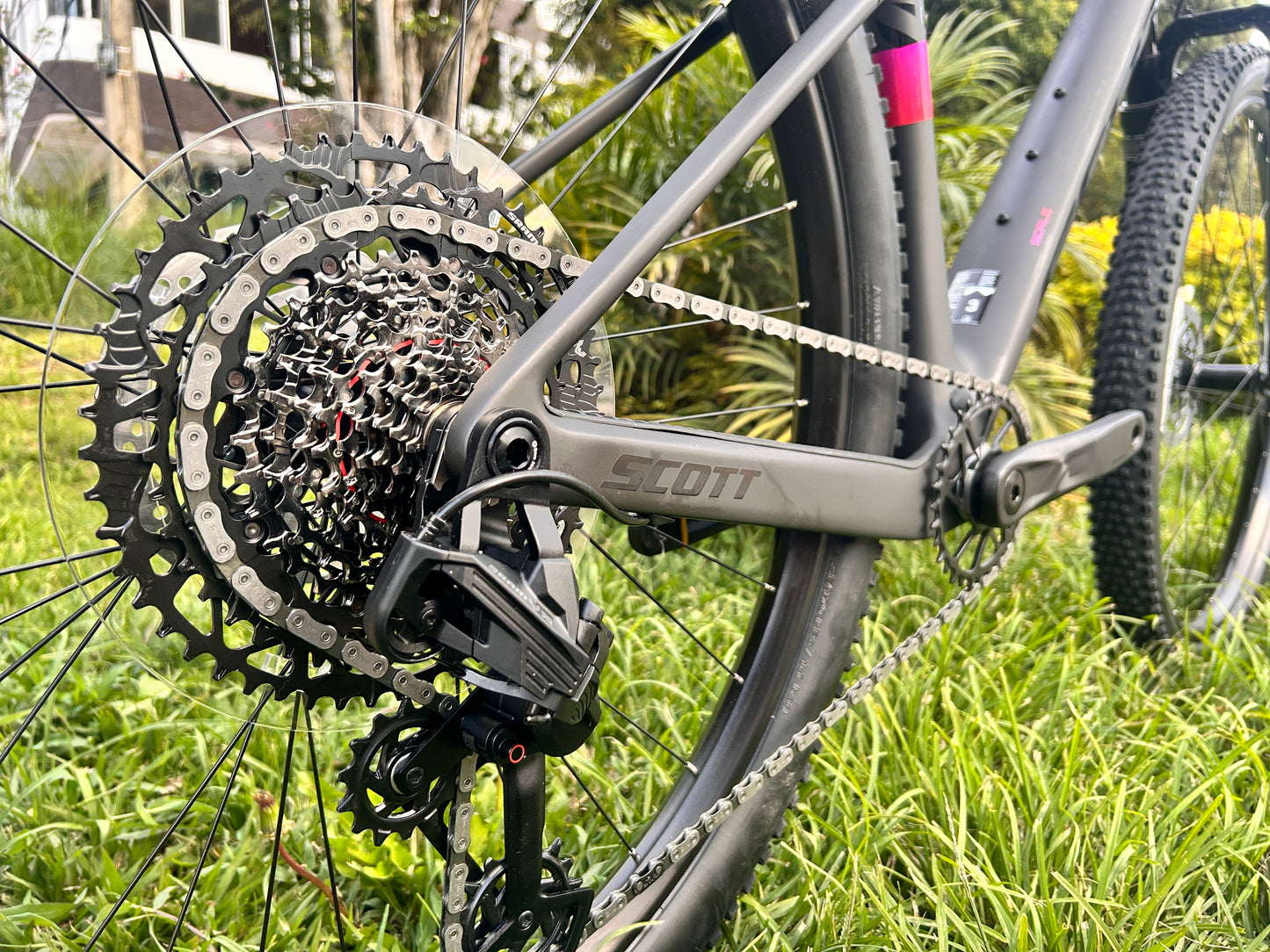 BICICLETA SCOTT SCALE 910 2026 CARBONO