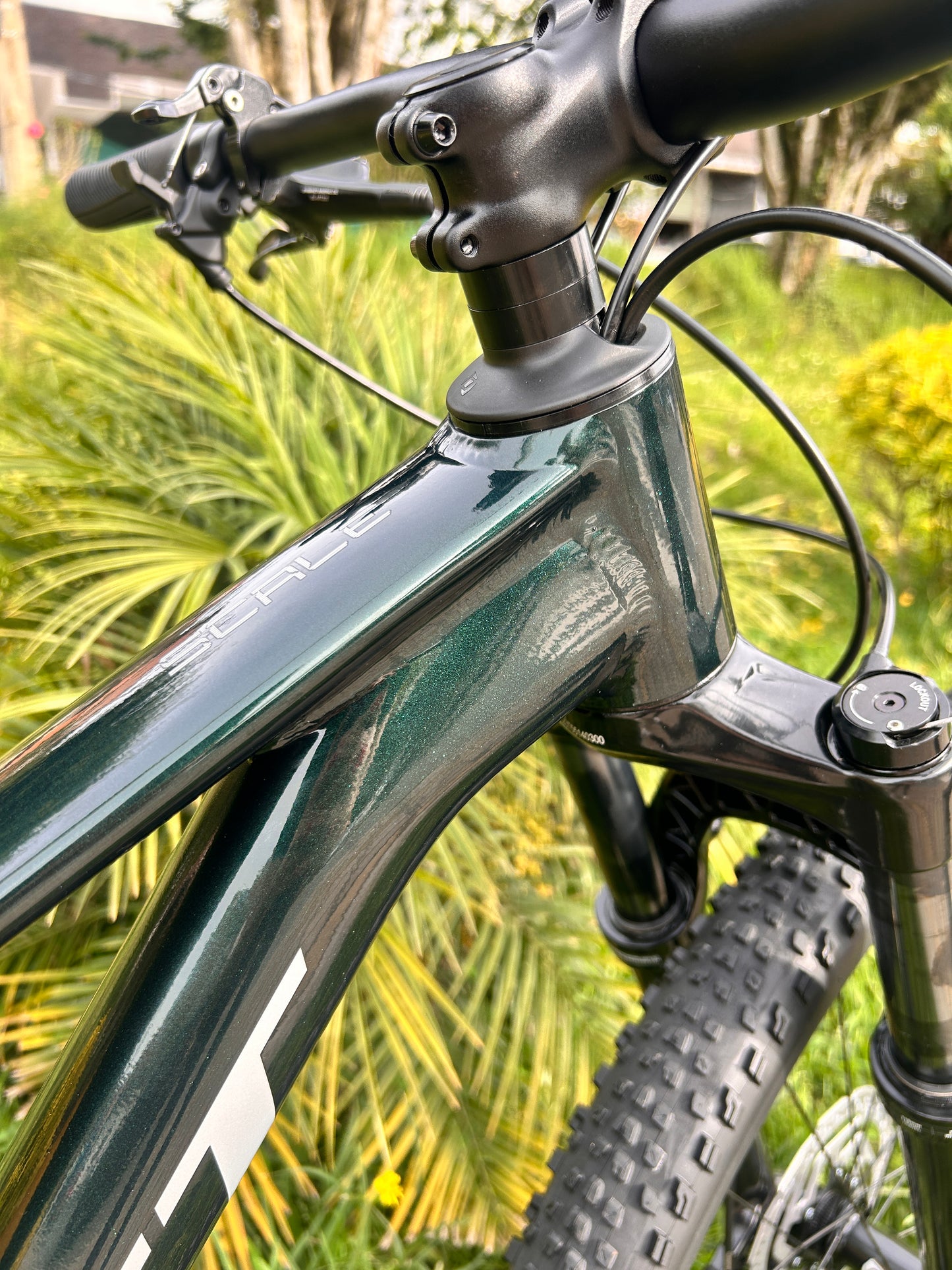 BICICLETA SCOTT SCALE 935 2026 CARBONO
