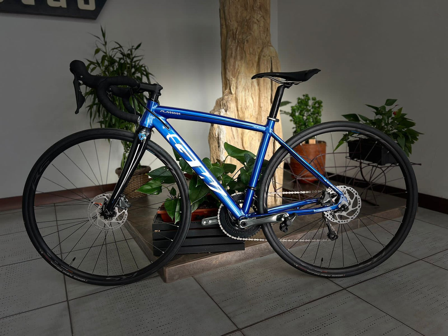 Bicicleta Ruta Gw Flamma Disco Tiagra 10 VEL