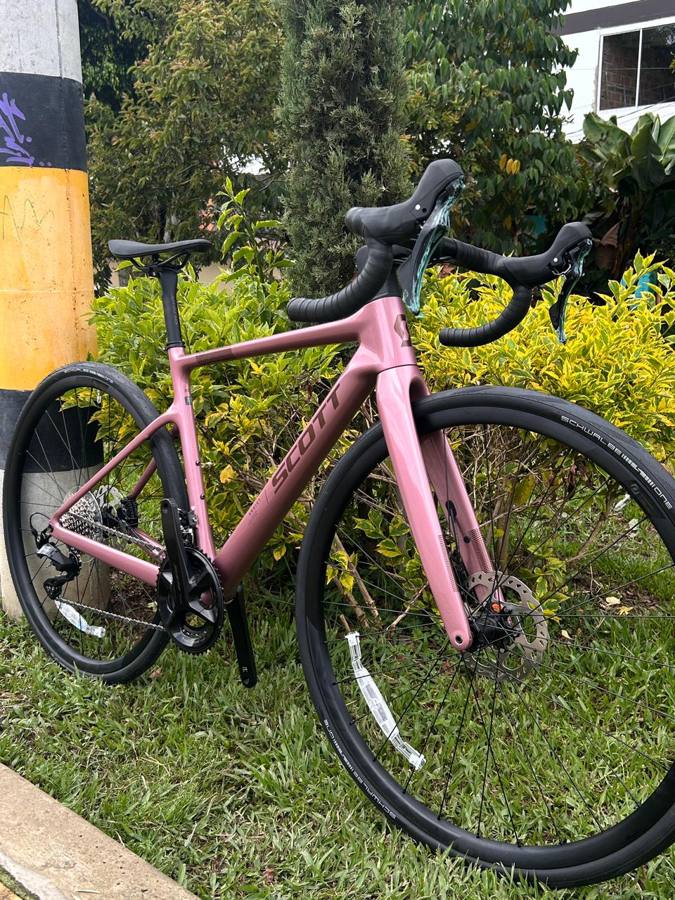 BICICLETA SCOTT ADDICT 50 2025