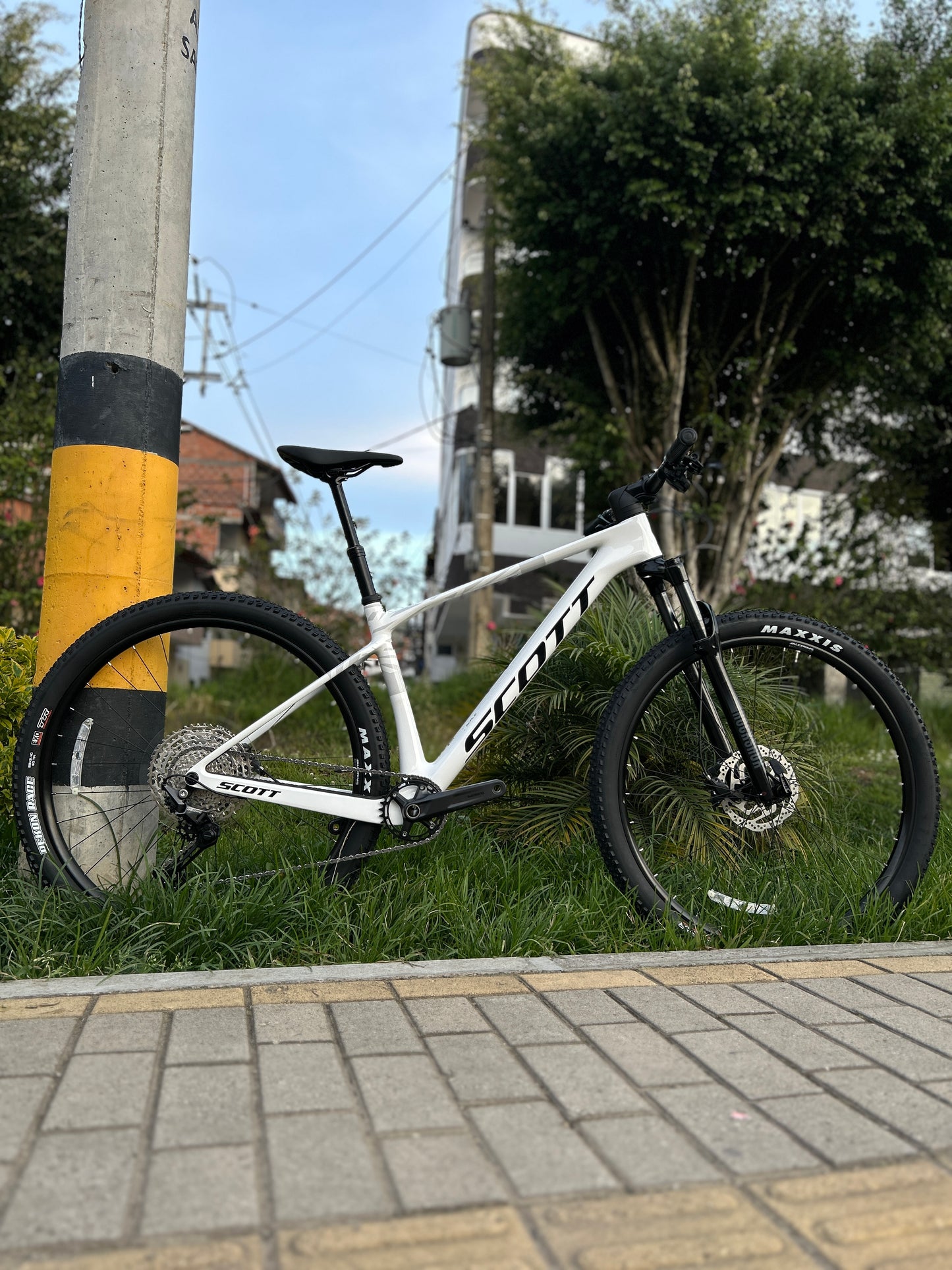 BICICLETA SCOTT SCALE 920 2026 CARBONO