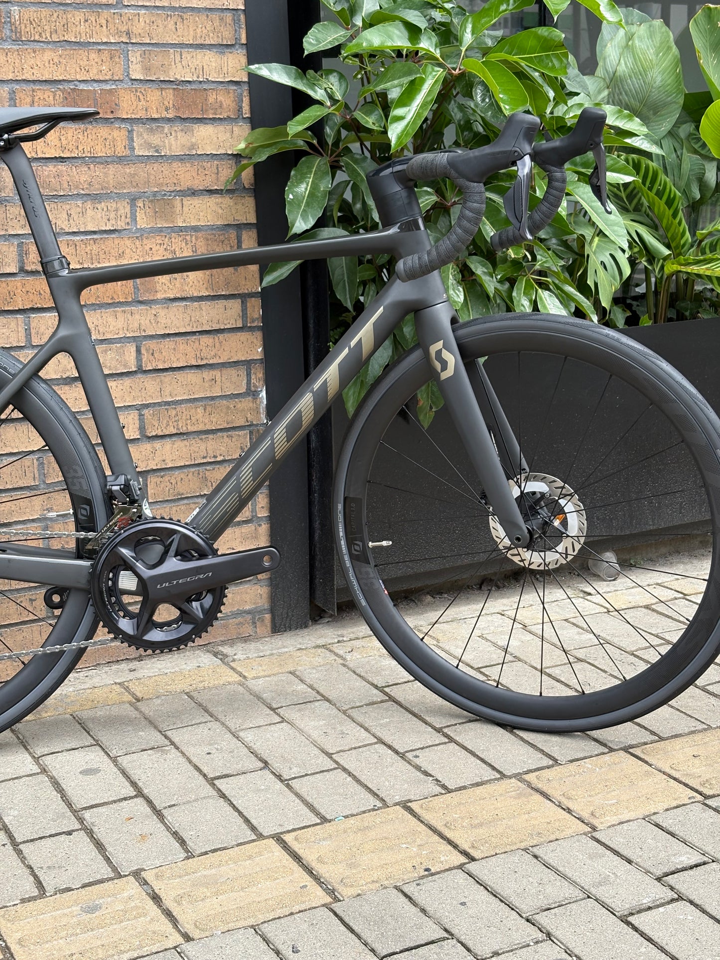 BICICLETA SCOTT ADDICT RC 15 DI2 2024 CARBON
