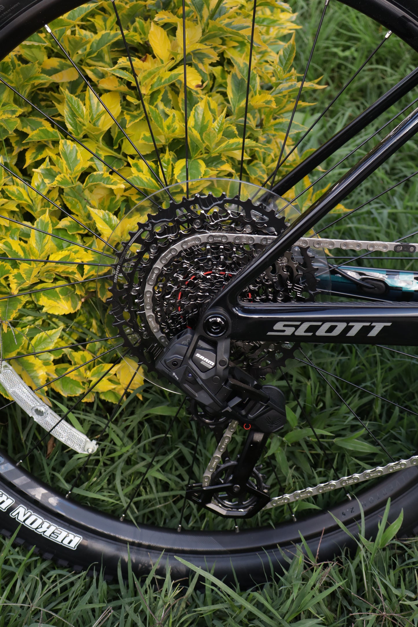BICICLETA SCOTT SCALE RC TEAM 2025