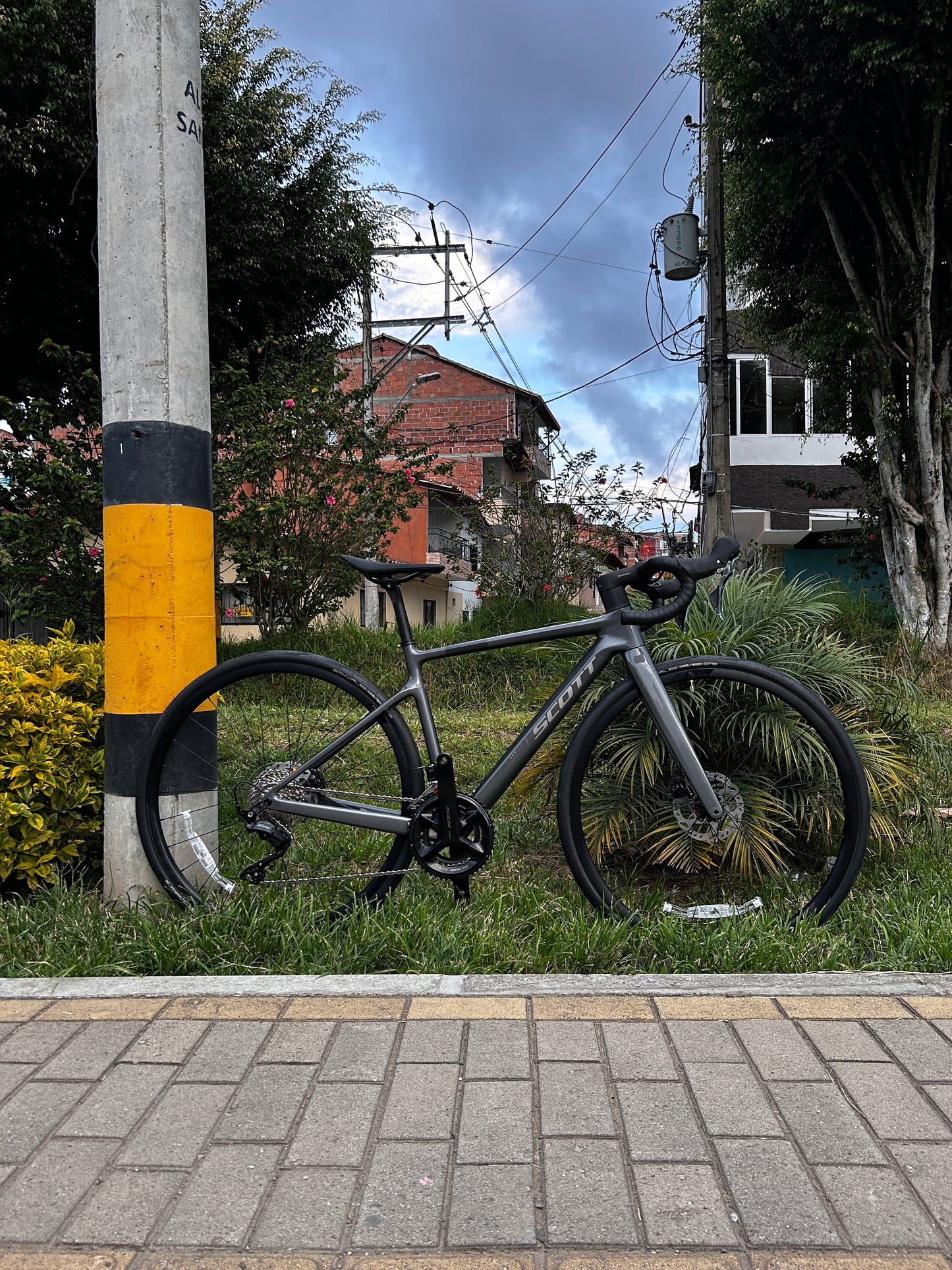 BICICLETA SCOTT ADDICT 50 2025