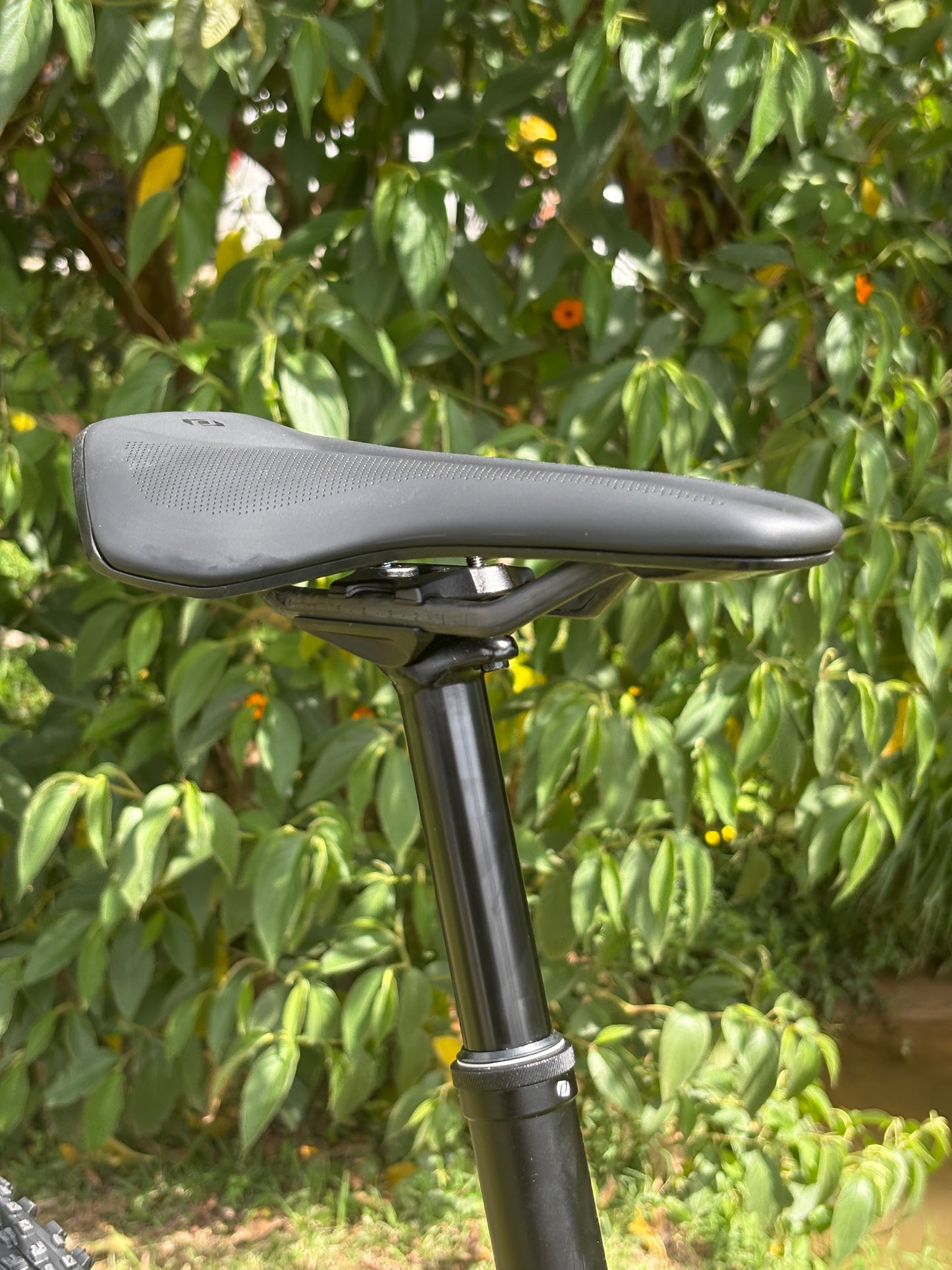 BICICLETA SCOTT SPARK RC WORLD CUP 2026