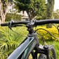 BICICLETA SCOTT SCALE 935 2026 CARBONO