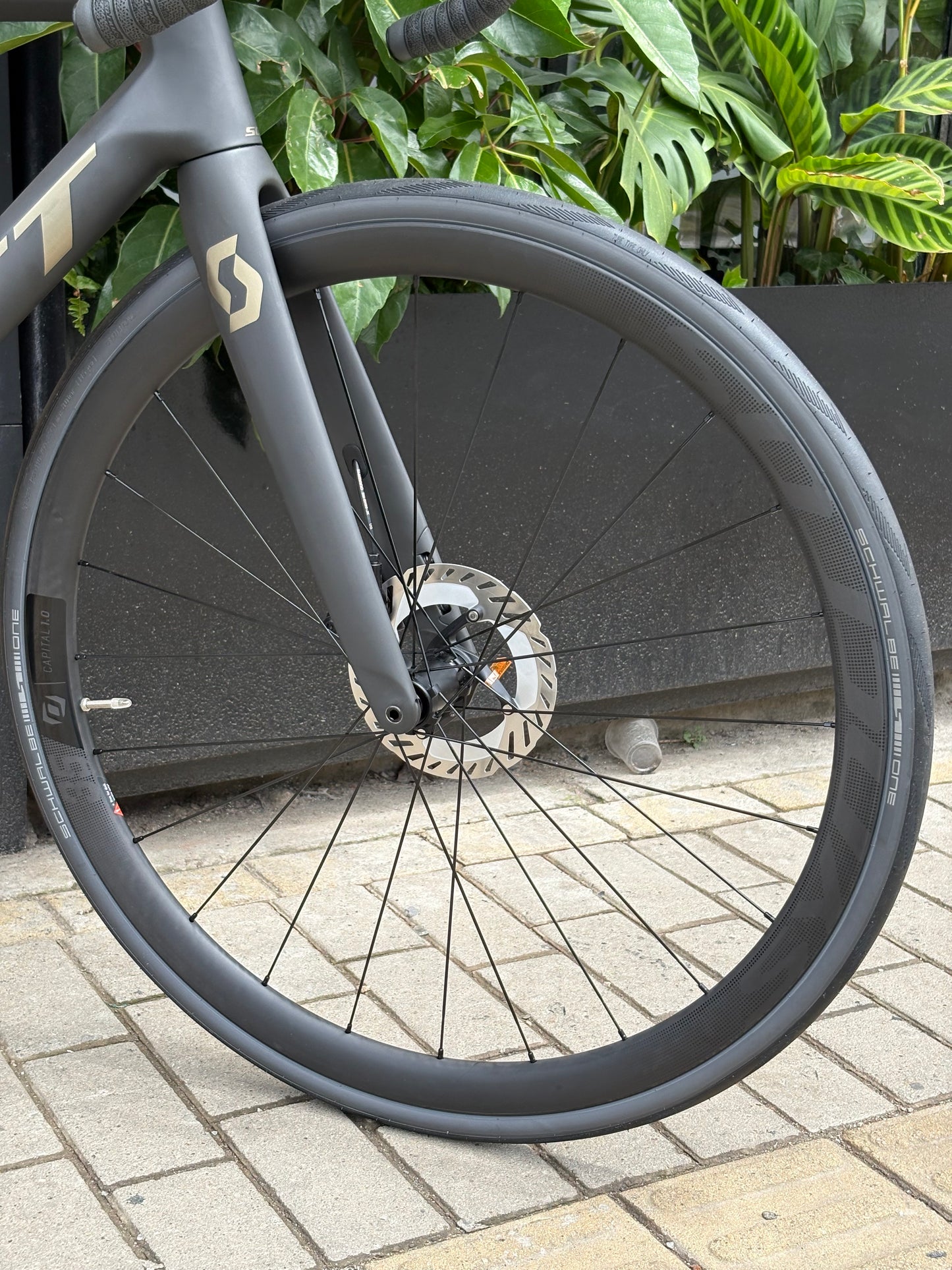 BICICLETA SCOTT ADDICT RC 15 DI2 2024 CARBON