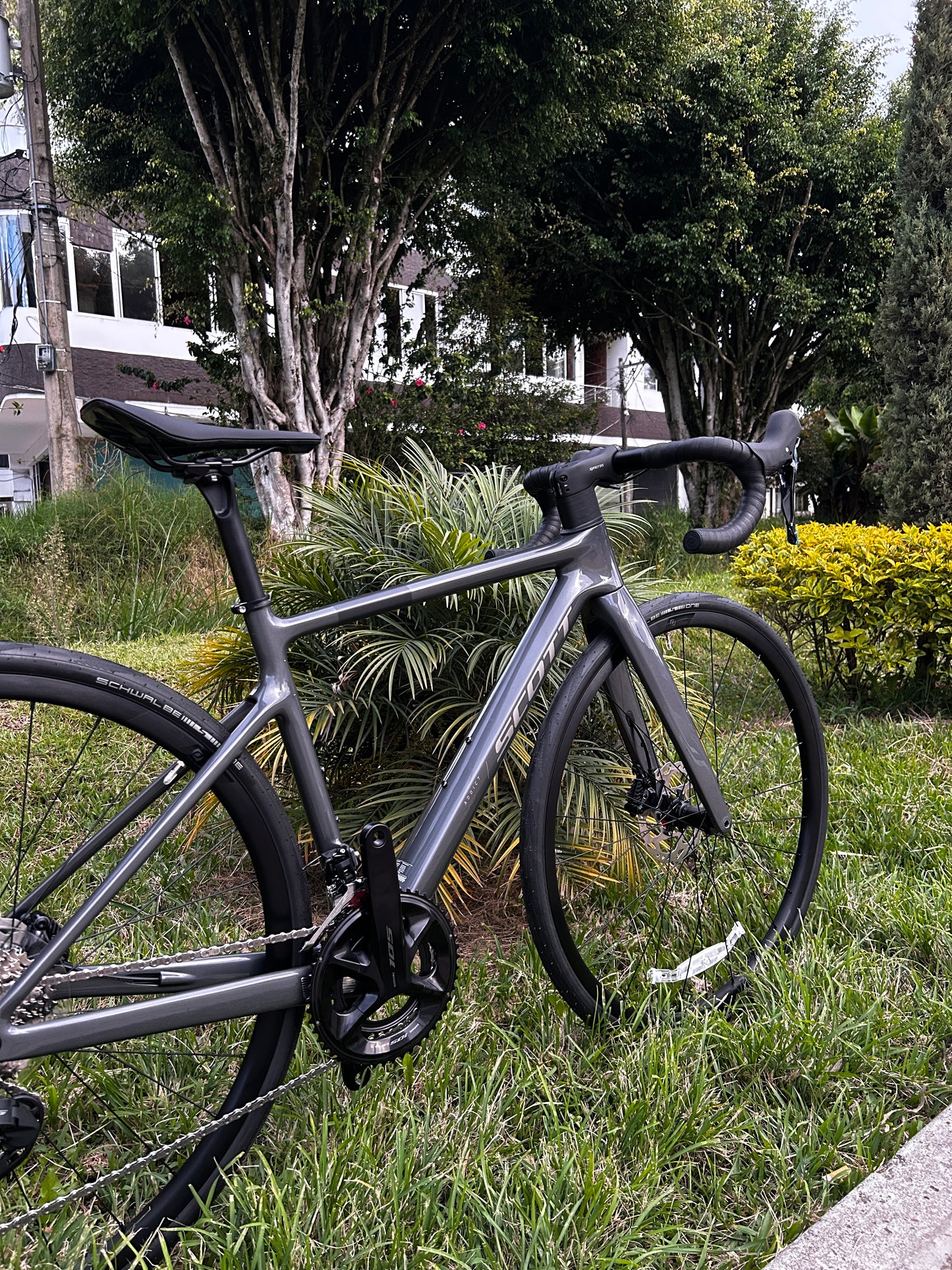 BICICLETA SCOTT ADDICT 50 2025