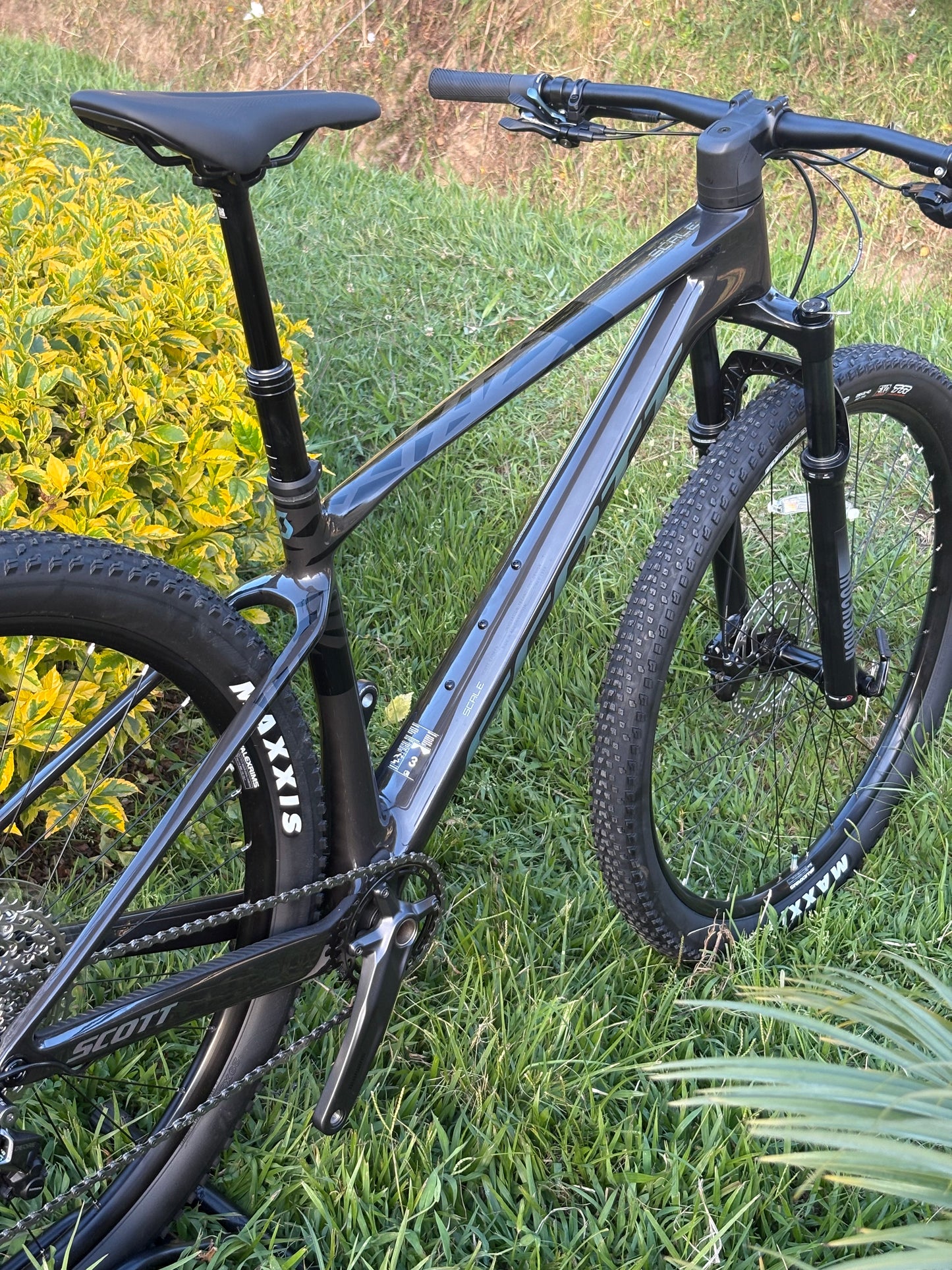 BICICLETA SCOTT SCALE 920 2026 CARBONO