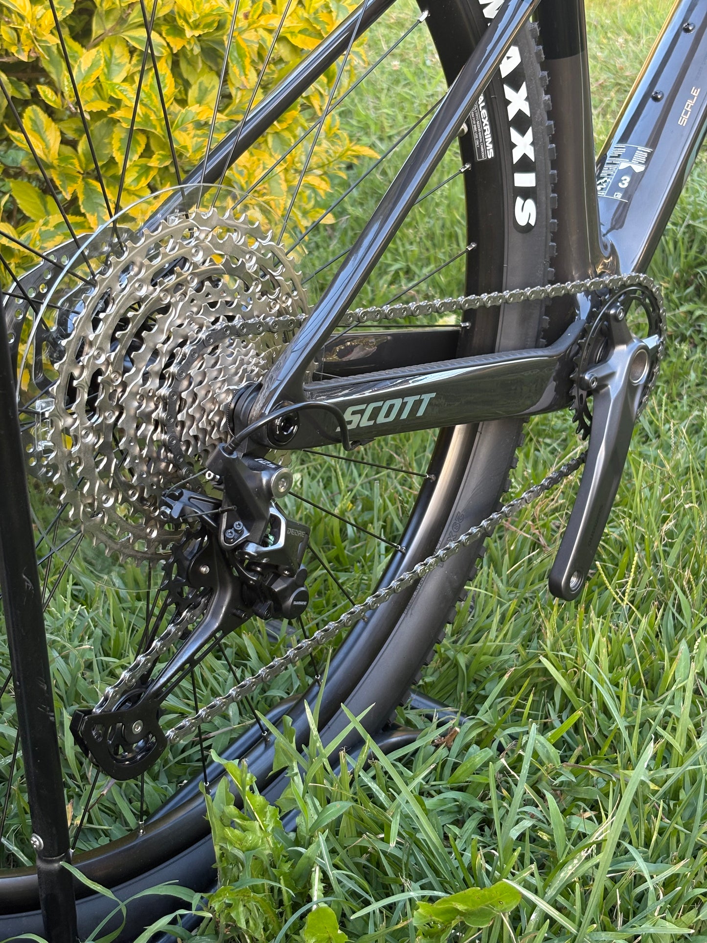 BICICLETA SCOTT SCALE 920 2026 CARBONO