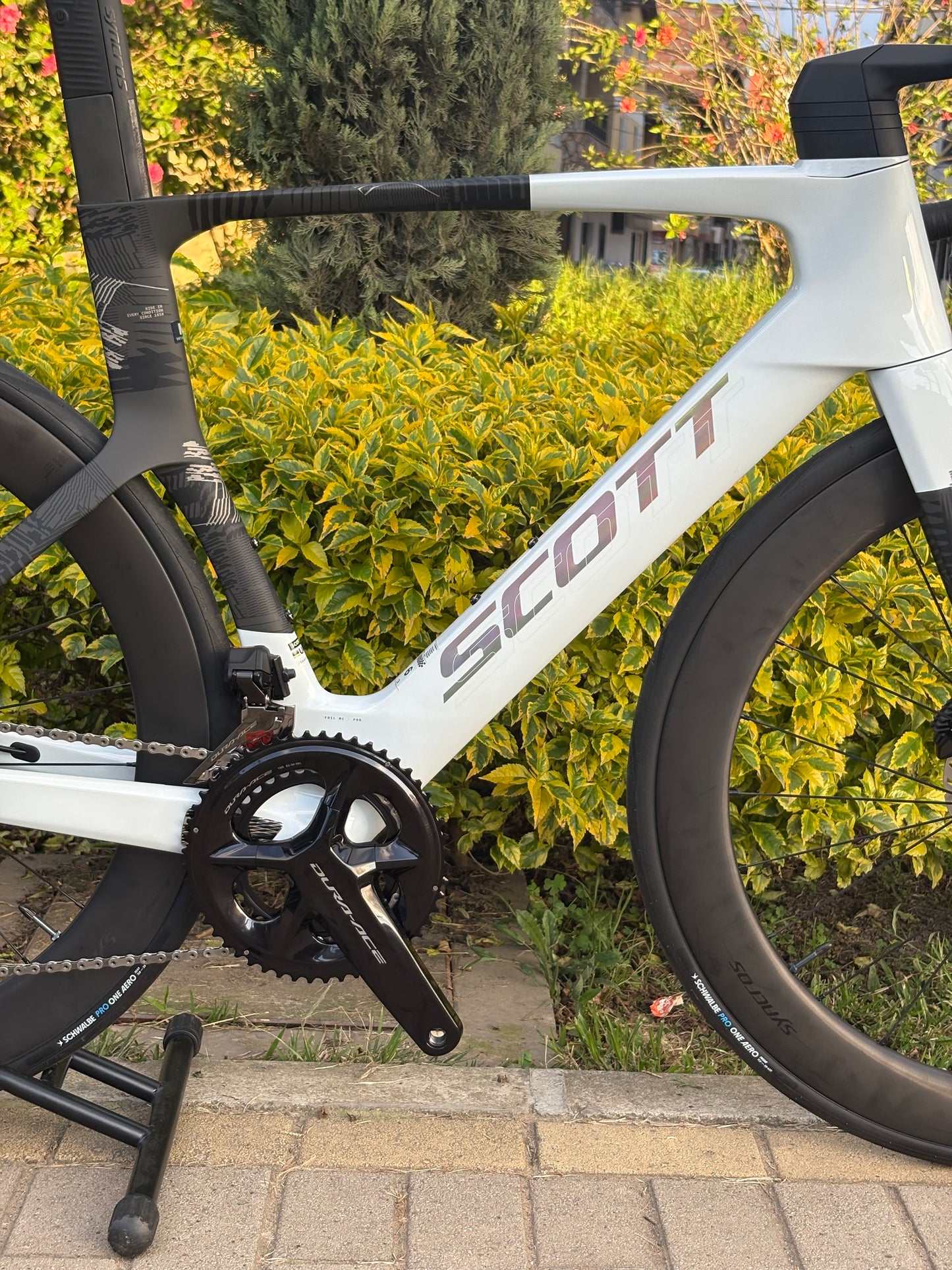 BICICLETA SCOTT FOIL RC PRO 2026 CARBONO 12 VEL