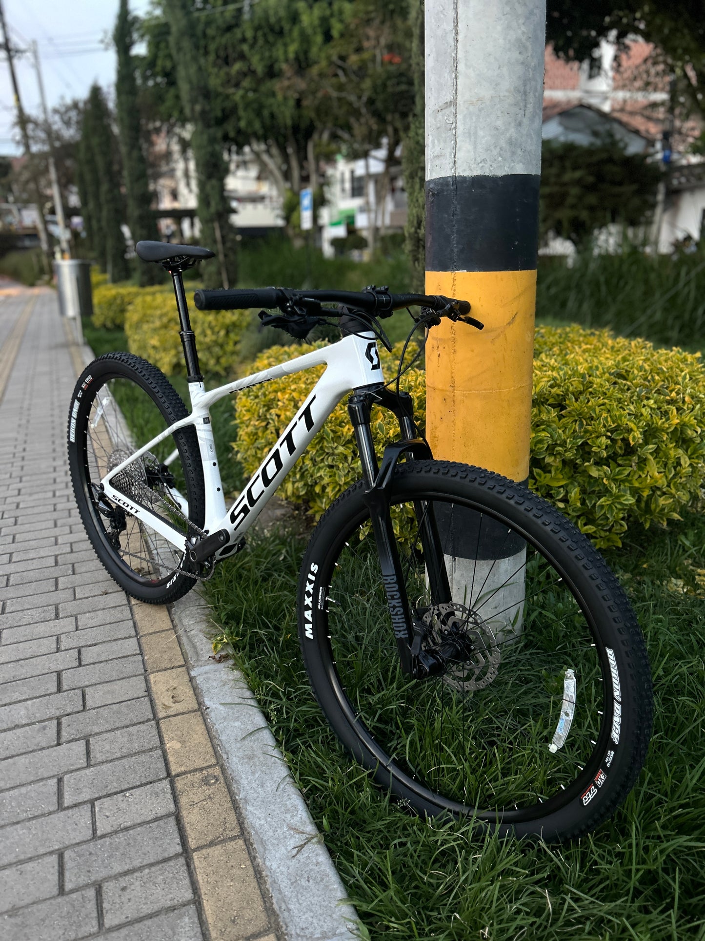 BICICLETA SCOTT SCALE 920 2026 CARBONO