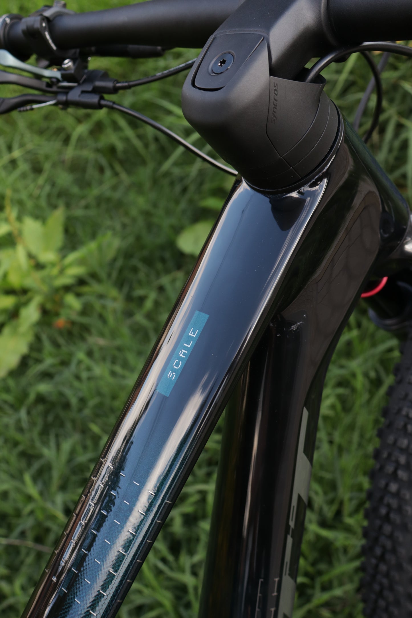 BICICLETA SCOTT SCALE RC TEAM 2025