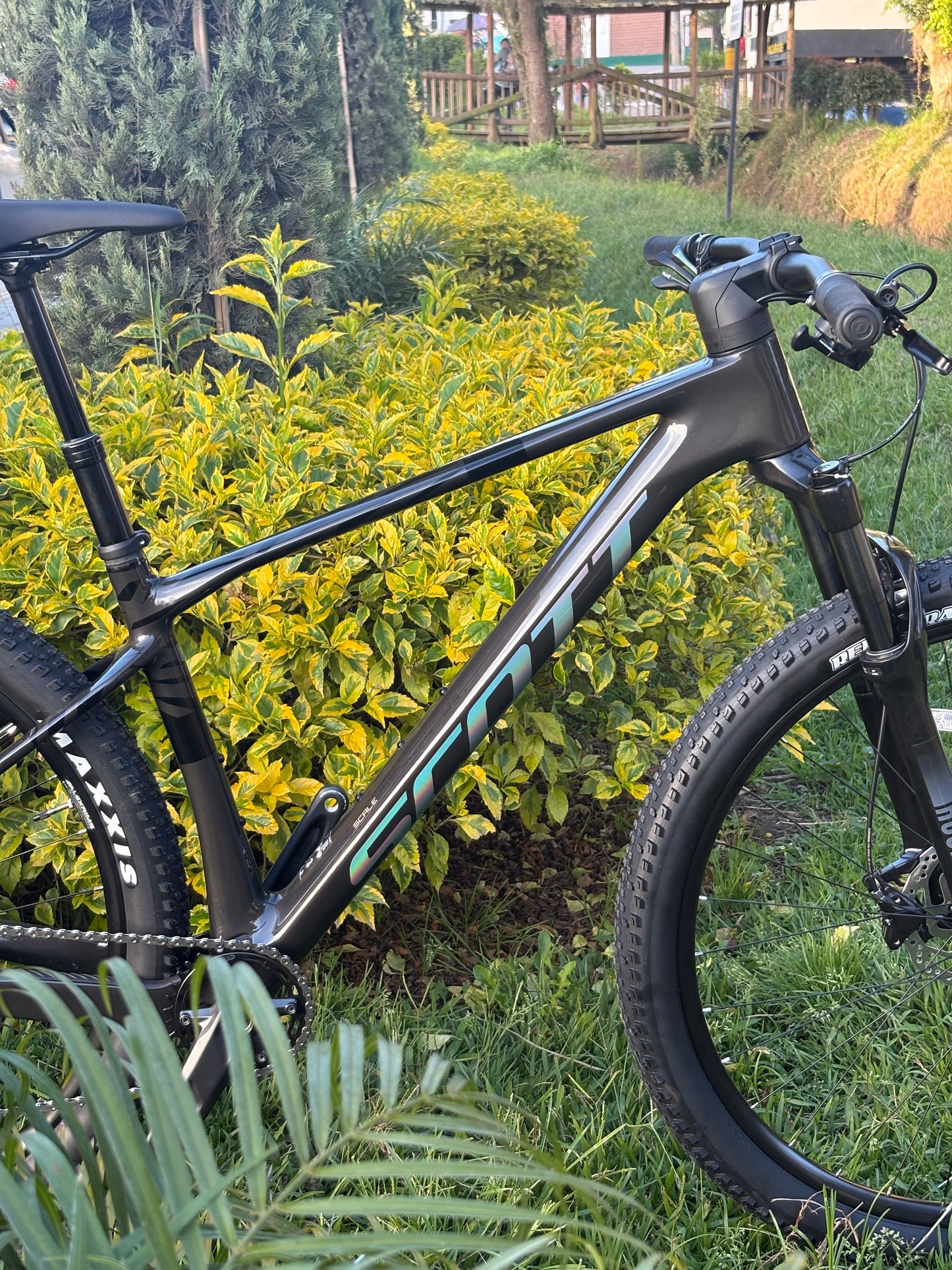 BICICLETA SCOTT SCALE 920 2026 CARBONO