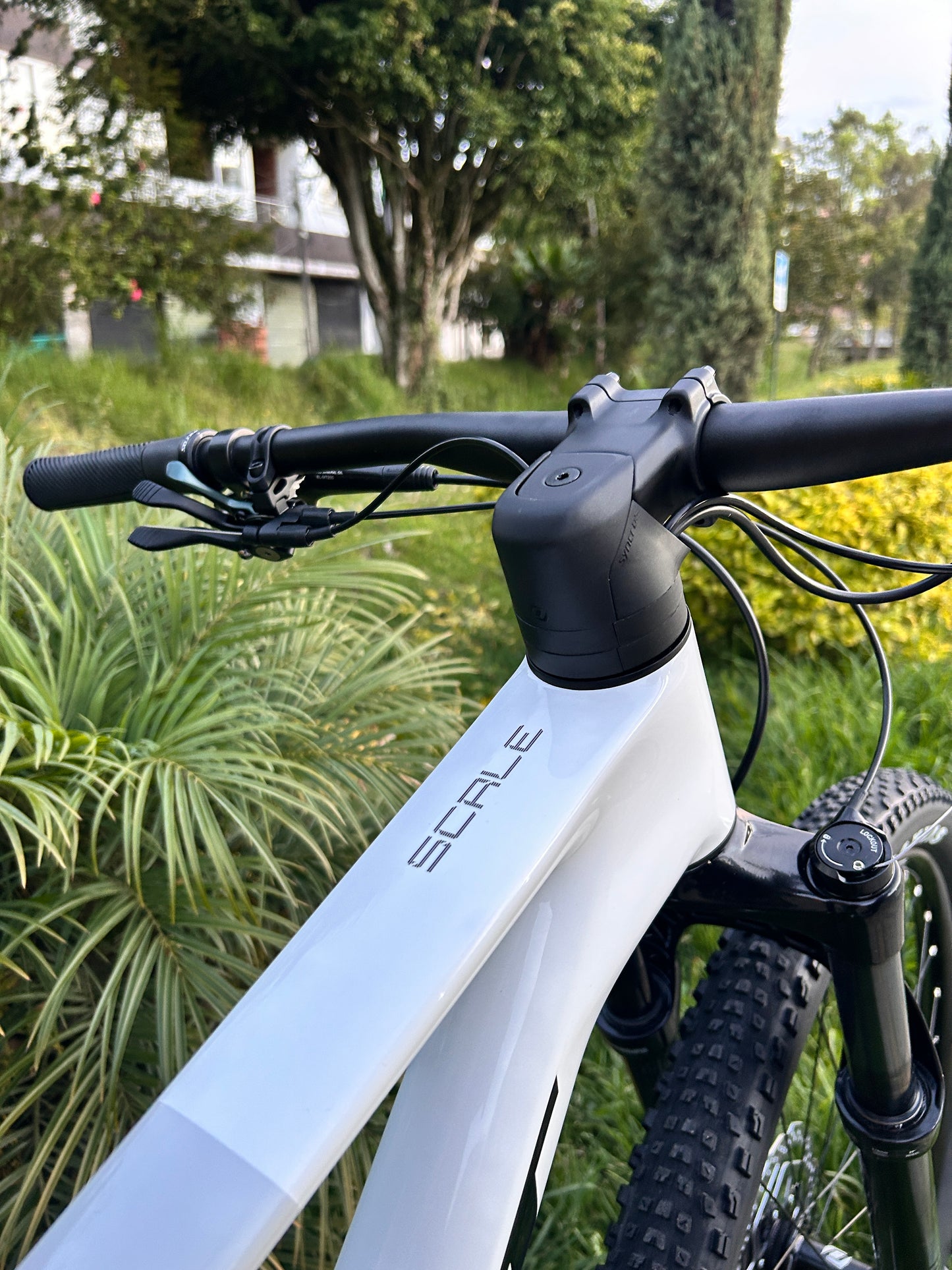 BICICLETA SCOTT SCALE 920 2026 CARBONO