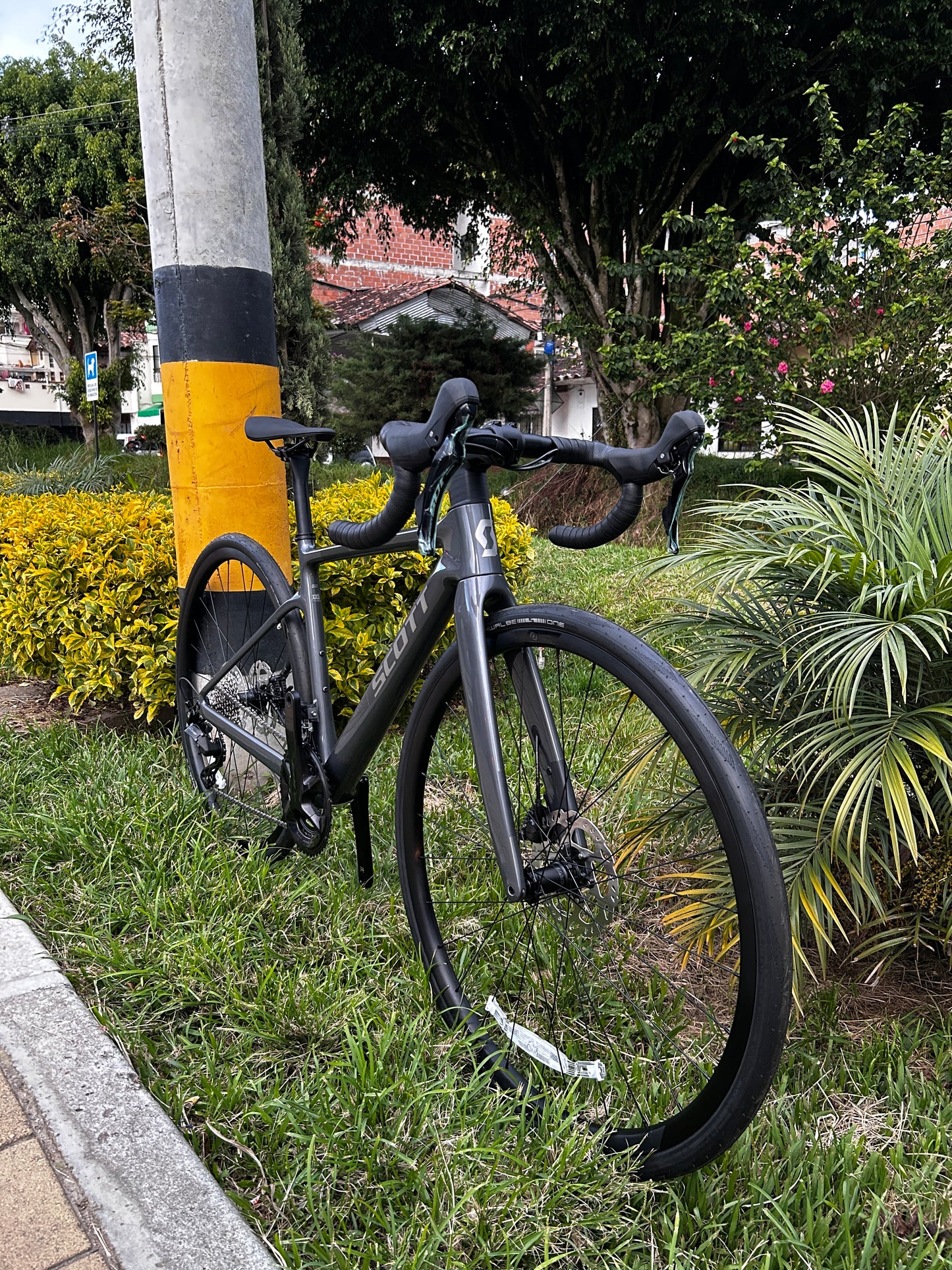 BICICLETA SCOTT ADDICT 50 2025