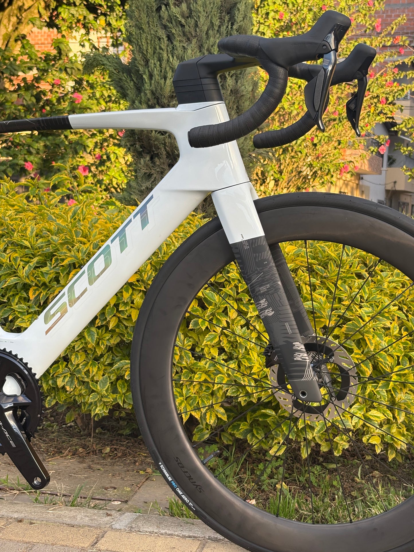 BICICLETA SCOTT FOIL RC PRO 2026 CARBONO 12 VEL